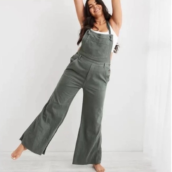 aerie Pants - Aerie Denim Overalls